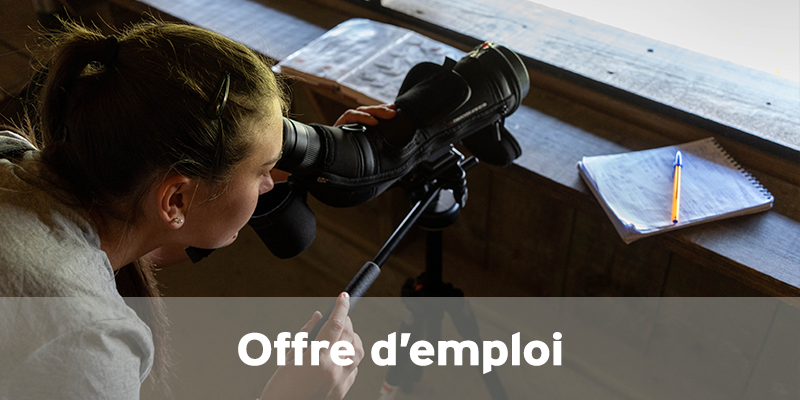 Actualités Arcachon