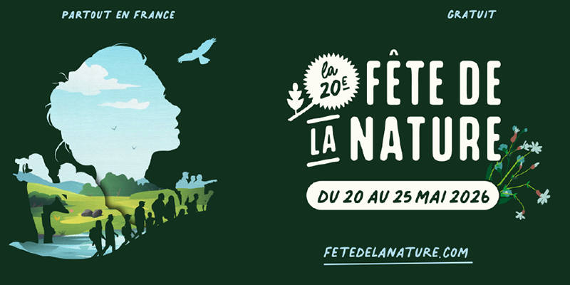 Actualités Arcachon