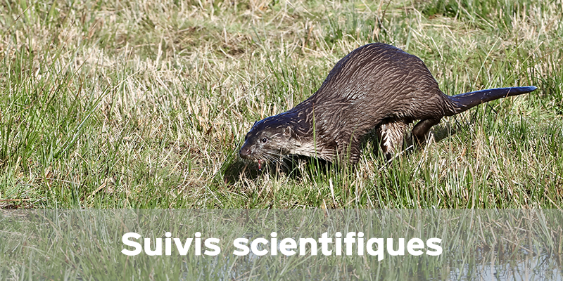 Actualités Arcachon