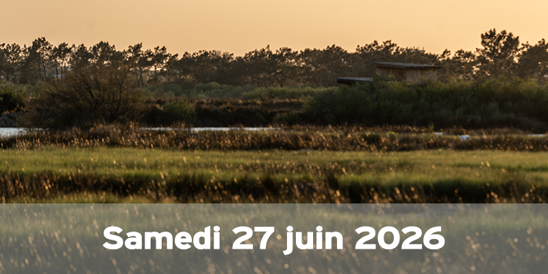 Actualités Arcachon