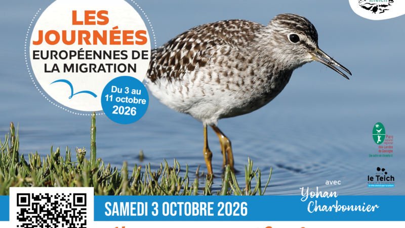 Journées européennes de la migration : visite guidée et conférence de Yohan Charbonnier