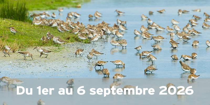 Actualités Arcachon