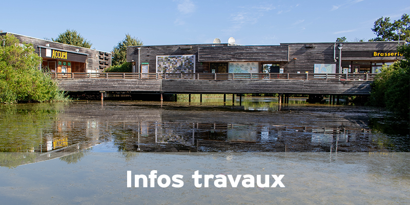 Actualités Arcachon